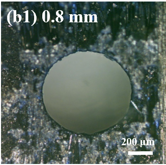0.8mm