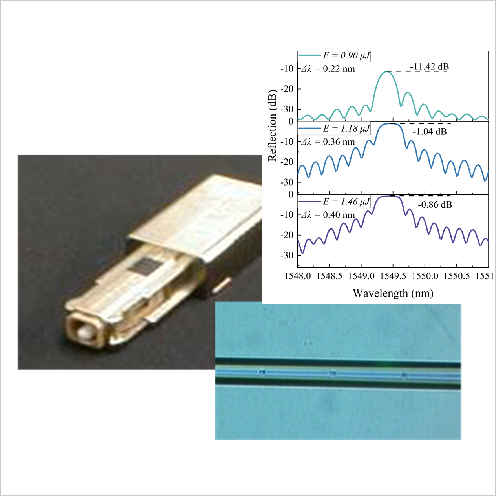 光纤光栅(Laser Photonics Rev.  (2024) 240030